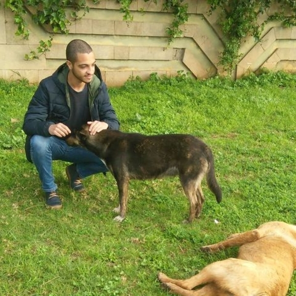 Meet your Posher, Ayoub - Picture 1 of 1